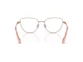 Swarovski SK 1007 4014 55 occhiali da vista