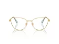 Swarovski SK 1007 4021 53 occhiali da vista