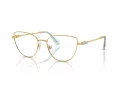 Swarovski SK 1007 4021 53 occhiali da vista