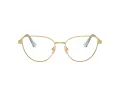 Swarovski SK 1007 4021 55 occhiali da vista