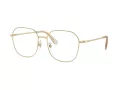 Swarovski SK 1009D 4013 58 occhiali da vista
