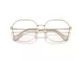 Swarovski SK 1009D 4013 58 occhiali da vista
