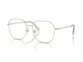 Swarovski SK 1009D 4013 58 occhiali da vista