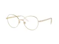 Swarovski SK 1013 4013 54 occhiali da vista