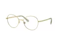 Swarovski SK 1013 4017 54 occhiali da vista
