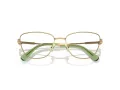 Swarovski SK 1018 4017 53 occhiali da vista