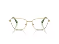 Swarovski SK 1018 4017 55 occhiali da vista