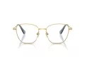 Swarovski SK 1019 4021 52 occhiali da vista