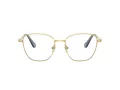Swarovski SK 1019 4021 54 occhiali da vista