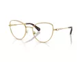 Swarovski SK 1022 4004 54 occhiali da vista