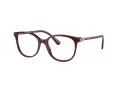 Swarovski SK 2002 1008 53 occhiali da vista