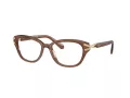 Swarovski SK 2032 1067 54 occhiali da vista