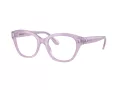 Swarovski SK 2038 1075 51 occhiali da vista