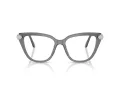 Swarovski SK 2045 1072 54 occhiali da vista