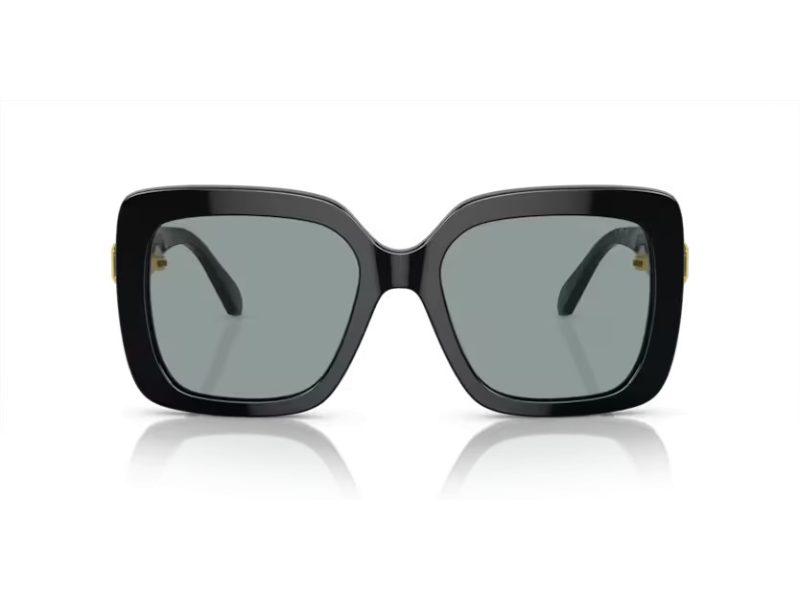 Swarovski SK 6001 1001/1 55 Occhiali da Sole