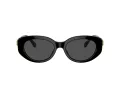 Swarovski SK 6002 100187 53 Occhiali da Sole