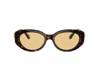 Swarovski SK 6002 1002/8 53 Occhiali da Sole