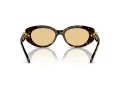 Swarovski SK 6002 1002/8 53 Occhiali da Sole