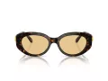 Swarovski SK 6002 1002/8 53 Occhiali da Sole
