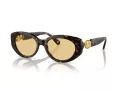 Swarovski SK 6002 1002/8 53 Occhiali da Sole