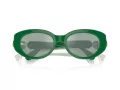 Swarovski SK 6002 10079C 53 Occhiali da Sole
