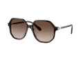 Swarovski SK 6003 100213 57 Occhiali da Sole