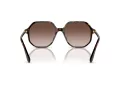Swarovski SK 6003 100213 57 Occhiali da Sole