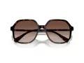 Swarovski SK 6003 100213 57 Occhiali da Sole