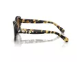 Swarovski SK 6005 100913 53 Occhiali da Sole