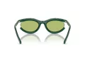 Swarovski SK 6006 103430 54 Occhiali da Sole