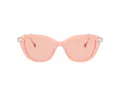 Swarovski SK 6010 1041/5 53 Occhiali da Sole