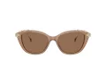 Swarovski SK 6010 2002OK 53 Occhiali da Sole