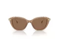 Swarovski SK 6010 2002OK 53 Occhiali da Sole