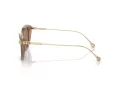 Swarovski SK 6010 2002OK 53 Occhiali da Sole