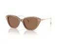 Swarovski SK 6010 2002OK 53 Occhiali da Sole