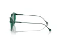 Swarovski SK 6010 2003/1 53 Occhiali da Sole