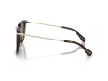 Swarovski SK 6015D 100273 55 Occhiali da Sole