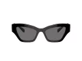 Swarovski SK 6021 100181 53 Occhiali da Sole