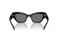 Swarovski SK 6021 100181 53 Occhiali da Sole