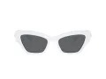 Swarovski SK 6021 105087 53 Occhiali da Sole