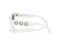 Swarovski SK 6021 105087 53 Occhiali da Sole