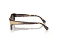 Swarovski SK 6029 100273 50 Occhiali da Sole