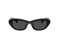 Swarovski SK 6036U 103887 50 Occhiali da Sole