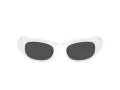 Swarovski SK 6036U 105087 50 Occhiali da Sole