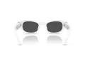 Swarovski SK 6036U 105087 50 Occhiali da Sole