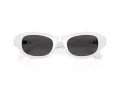Swarovski SK 6036U 105087 50 Occhiali da Sole
