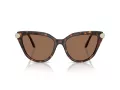 Swarovski SK 6039 100273 56 Occhiali da Sole