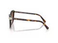 Swarovski SK 6039 100273 56 Occhiali da Sole