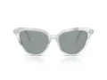 Swarovski SK 6039 1042/1 56 Occhiali da Sole