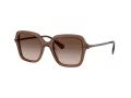 Swarovski SK 6040 106713 50 Occhiali da Sole